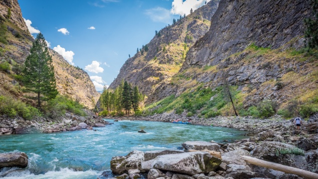 Middle Fork of the Salmon